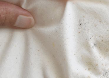 Battling Mold & Mildew: A Laundry Guide for Humid Climates